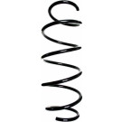 Spidan | Fahrwerksfeder | 87316