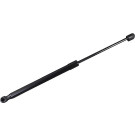 2110568 Gasfeder, Koffer-/Laderaum