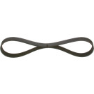 1 987 948 318 Keilrippenriemen