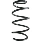 Spidan | Fahrwerksfeder | 87013