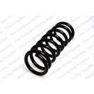 4095023 Fahrwerksfeder