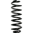 Spidan | Fahrwerksfeder | 55102