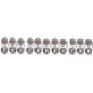 Maxgear | Glühlampe, Kennzeichenleuchte | 78-0032SET