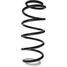 Spidan | Fahrwerksfeder | 87112