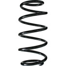 Spidan | Fahrwerksfeder | 55981