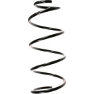 Spidan | Fahrwerksfeder | 49613