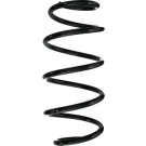 Spidan | Fahrwerksfeder | 56838