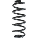 Spidan | Fahrwerksfeder | 87499