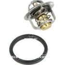 NRF | Thermostat, Kühlmittel | 725061