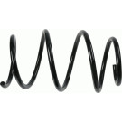 998 060 Fahrwerksfeder