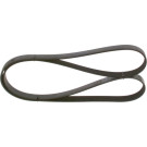 1 987 948 315 Keilrippenriemen