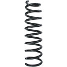 Spidan | Fahrwerksfeder | 87253