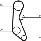 CT816 Zahnriemen CT816 Zahnriemen
