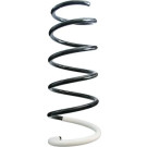 Spidan | Fahrwerksfeder | 87034