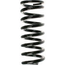 Spidan | Fahrwerksfeder | 49381