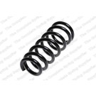 4292580 Fahrwerksfeder