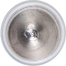 BOSCH | Glühlampe | 1 987 301 004