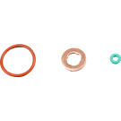 0873006 Dichtungssatz, Einspritzdüse