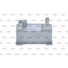 NRF | Ölkühler, Automatikgetriebe | 31362
