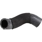 2421590 Kühlerschlauch