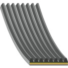 FEBI BILSTEIN 179891 Keilrippenriemen