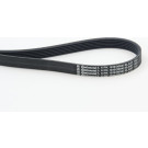 ContiTech | Keilrippenriemen | 6PK1019 ELAST