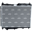 NRF | Kühler, Motorkühlung | 550068