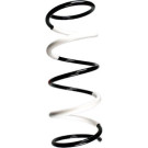 55138 Fahrwerksfeder