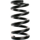 Spidan | Fahrwerksfeder | 55358