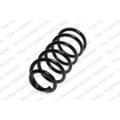 4258700 Fahrwerksfeder