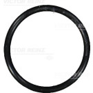 40-76101-00 Dichtring