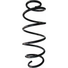 Spidan | Fahrwerksfeder | 87607