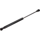 Maxgear | Gasfeder, Koffer-/Laderaum | 12-1561