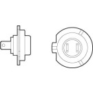 032519 Glühlampe, Tagfahrleuchte +50% LIGHT