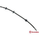 Brembo | Bremsschlauch | T 23 048