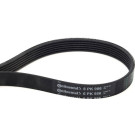 ContiTech | Keilrippenriemen | 6PK986