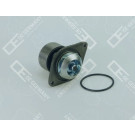 06 2000 F45000 Wasserpumpe, Motorkühlung