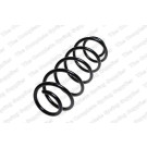 4256864 Fahrwerksfeder