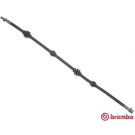 Brembo | Bremsschlauch | T 23 037