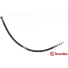 Brembo | Bremsschlauch | T 54 011