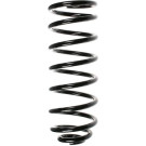 Spidan | Fahrwerksfeder | 49158