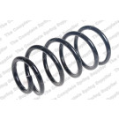 4244242 Fahrwerksfeder