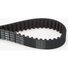 CT863 Zahnriemen CT863 Zahnriemen