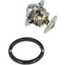 NRF | Thermostat, Kühlmittel | 725206