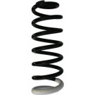 Spidan | Fahrwerksfeder | 87406