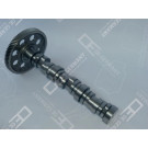 OE Germany | Nockenwelle | 01 0500 501001