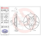 Brembo | Bremsscheibe | 09.8303.75