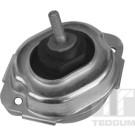 Tedgum | Lagerung, Motor | 00088547