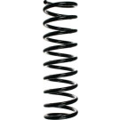 Spidan | Fahrwerksfeder | 55110