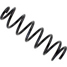 36-274062 Fahrwerksfeder BILSTEIN - B3 Serienersatz (Federn)